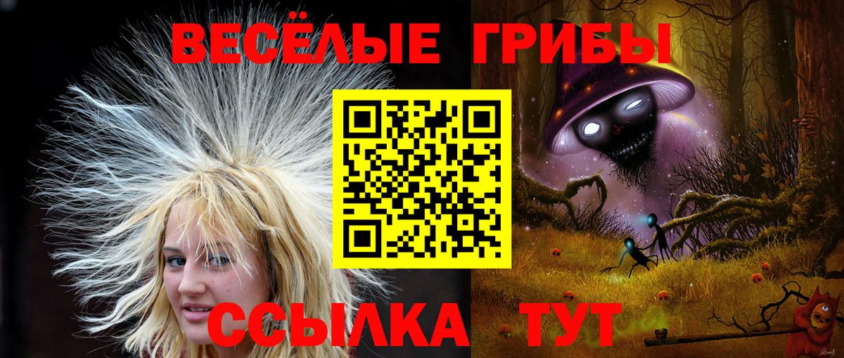 Галлюциногенные грибы Magic Shrooms  Вход с VPN  Псилоцибиновые грибы MAGIC MUSHROOMS  Вичуга 